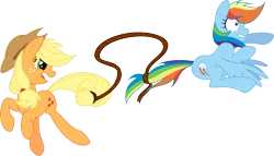 Size: 4832x2767 | Tagged: absurd resolution, applejack, artist:daydreamsyndrom, artist:steffy-beff, derpibooru import, lasso, rainbow dash, safe, simple background, transparent background, vector