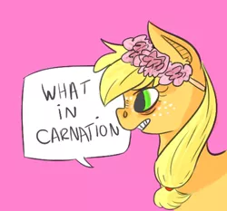 Size: 400x373 | Tagged: applejack, artist:catricide, carnation, derpibooru import, floral head wreath, flower, pun, safe, solo, what in tarnation