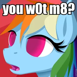 Size: 499x500 | Tagged: blind dash, derpibooru import, image macro, rainbow dash, safe, solo, u wot m8