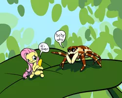 Size: 2500x2000 | Tagged: safe, artist:onsaud, derpibooru import, fluttershy, spider, breakup, interspecies shipping, jumping spider, leaf, micro, tiny ponies