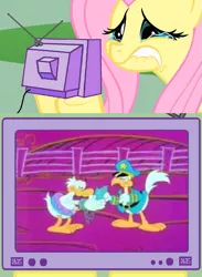 Size: 563x771 | Tagged: arrested, derpibooru import, exploitable meme, fluttercry, fluttershy, garfield, garfield and friends, jail, meme, obligatory pony, prison, roy rooster, safe, television, tv meme, u.s. acres, us acres, wade duck, wanted: wade