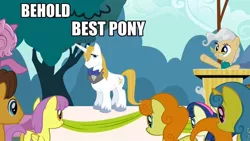 Size: 960x540 | Tagged: behold, best pony, blatant lies, caramel, carrot top, derpibooru import, edit, edited screencap, golden harvest, image macro, lemon hearts, mayor mare, meme, prince blueblood, safe, screencap, the last roundup