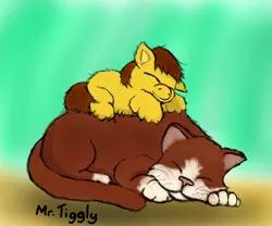 Size: 616x512 | Tagged: artist:mr tiggly the wiggly walnut, cat, derpibooru import, fluffy pony, fluffy pony foal, hugbox, safe, sleeping