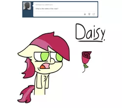 Size: 1024x907 | Tagged: safe, derpibooru import, roseluck, ask, rose, roseylacks, solo, tumblr