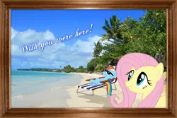 Size: 2000x1333 | Tagged: artist:paris7500, beach, chair, derpibooru import, fluttershy, frame, irl, photo, ponies in real life, rainbow dash, safe, shadow, vector