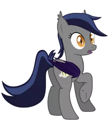 Size: 4491x5000 | Tagged: safe, artist:zee66, derpibooru import, oc, oc:echo, unofficial characters only, bat pony, pony, absurd resolution, plot, simple background, solo, transparent background, vector