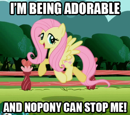 Size: 421x371 | Tagged: and nopony can stop me, animated, artifact, artist:mezkalito4p, cute, derpibooru import, fluttershy, image macro, may the best pet win, prancing, safe, screencap, shyabetes, skipping, solo, swag, trotting