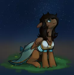 Size: 850x855 | Tagged: safe, artist:starloo, derpibooru import, oc, oc:ash, unofficial characters only, pony, clothes, dress, night, solo, stars