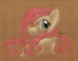 Size: 1045x820 | Tagged: safe, artist:getchanoodlewet, derpibooru import, fluttershy, solo, traditional art