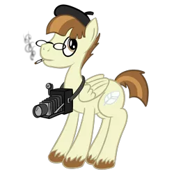 Size: 3000x3000 | Tagged: safe, artist:wolferahm, derpibooru import, featherweight, pegasus, pony, beret, camera, cigarette, glasses, high res, older, simple background, smoking, solo, student, transparent background, vector