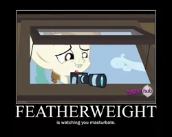 Size: 750x600 | Tagged: suggestive, derpibooru import, edit, edited screencap, screencap, featherweight, pony, ponyville confidential, camera, colt, image macro, implied masturbation, male, motivational poster, rhyme, solo, text