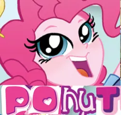 Size: 587x557 | Tagged: safe, derpibooru import, idw, pinkie pie, equestria girls, caption, expand dong, image macro, ponut
