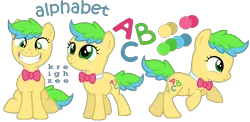 Size: 2564x1254 | Tagged: safe, artist:ivyhaze, derpibooru import, oc, unofficial characters only, earth pony, pony, bowtie, filly, reference sheet, simple background, smiling, transparent background, vector