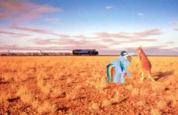 Size: 620x400 | Tagged: artist:snakeman1992, australia, derpibooru import, kangaroo, outback, ponies in real life, rainbow dash, safe, train, vector
