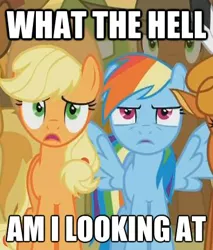 Size: 362x424 | Tagged: safe, derpibooru import, edit, edited screencap, screencap, applejack, little strongheart, rainbow dash, earth pony, pegasus, pony, over a barrel, cropped, duo focus, female, impact font, mare, reaction image, spread wings