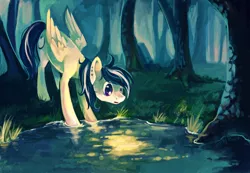 Size: 3115x2152 | Tagged: artist:graypaint, dark, derpibooru import, forest, glow, oc, oc:moonlight flare, pond, safe, solo, unofficial characters only, water