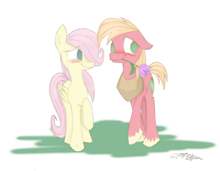 Size: 1726x1341 | Tagged: dead source, safe, artist:estrill, derpibooru import, part of a set, big macintosh, fluttershy, earth pony, pegasus, pony, 2013, blushing, colored sketch, female, finished, floppy ears, flower, flower in mouth, fluttermac, image, looking away, male, mouth hold, png, shipping, signature, simple background, sketch, stallion, straight, white background