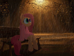 Size: 1500x1125 | Tagged: safe, artist:apony, derpibooru import, fluttershy, pony, animated, bench, clothes, female, hoodie, mare, park, rain, solo, tree