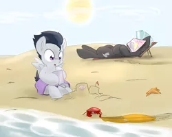 Size: 5000x4000 | Tagged: safe, artist:kryptchild, derpibooru import, derpy hooves, rumble, thunderlane, crab, pegasus, pony, assisted exposure, beach, brothers, bucket, clothes, clothing theft, female, magazine, mare, partial nudity, plot, sandcastle, swimsuit, swimsuit theft, topless