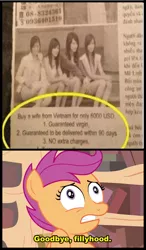 Size: 498x850 | Tagged: carpet diem, derpibooru import, goodbye fillyhood, gravity falls, mail order bride, meme, newspaper, scootaloo, suggestive, vietnamese