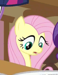 Size: 428x556 | Tagged: safe, derpibooru import, screencap, fluttershy, rarity, twilight sparkle, ponyville confidential, animated, cropped, floppy ears, offscreen character, reaction image, shrinking, solo focus