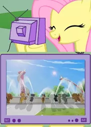 Size: 506x697 | Tagged: derpibooru import, exploitable meme, fluttershy, meme, obligatory pony, puppy in my pocket, safe, tv meme