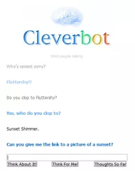 Size: 389x493 | Tagged: cleverbot, clop, derpibooru import, fluttershy, meme, suggestive, sunset shimmer, text, text only