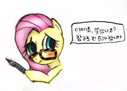 Size: 456x326 | Tagged: derpibooru import, flutter-nerd, fluttershy, korean, safe, solo