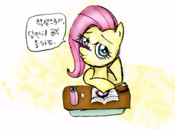 Size: 500x375 | Tagged: derpibooru import, flutter-nerd, fluttershy, korean, safe, solo