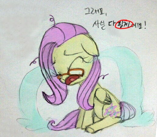 Size: 515x448 | Tagged: crying, derpibooru import, flutter-nerd, fluttershy, korean, ocular gushers, safe, solo