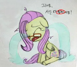 Size: 515x448 | Tagged: crying, derpibooru import, flutter-nerd, fluttershy, korean, ocular gushers, safe, solo