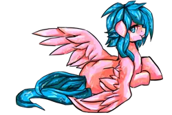 Size: 1080x720 | Tagged: safe, artist:bigbuxart, derpibooru import, oc, oc:berry blast, unofficial characters only, pegasus, pony, solo, wet