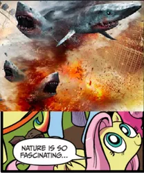 Size: 392x472 | Tagged: semi-grimdark, derpibooru import, idw, fluttershy, pony, shark, blood, exploitable meme, female, mare, meme, nature is so fascinating, obligatory pony, sharknado, tornado