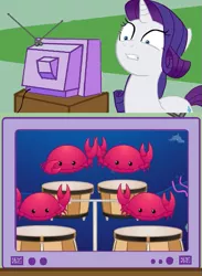 Size: 563x771 | Tagged: bongos, crab bongos crabby crab bongos, crabs, derpibooru import, exploitable meme, meme, mr weebl, obligatory pony, rarity, safe, shrimp glockenspiel, tv meme