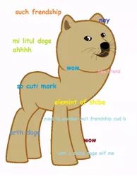 Size: 611x786 | Tagged: comic sans, derpibooru import, doge, ponified, safe, shiba confessions, shiba inu, shibe, solo, wat, wow