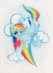 Size: 1280x1755 | Tagged: artist:purmu, derpibooru import, rainbow dash, safe, solo