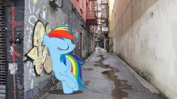 Size: 674x378 | Tagged: alleyway, artist:snakeman1992, derpibooru import, fire escape, graffiti, irl, photo, ponies in real life, rainbow dash, safe, solo, vector
