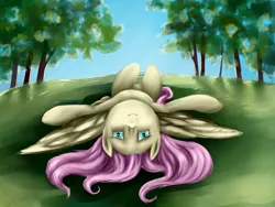 Size: 1024x768 | Tagged: artist:shizyaa, derpibooru import, fluttershy, on back, safe, solo