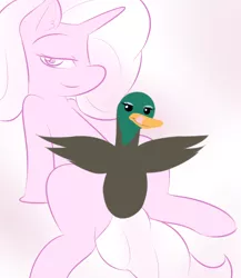 Size: 694x800 | Tagged: artist:lamia, cockblock, derpibooru import, duck, futa, intersex, oc, oc:lamia, suggestive, tumblr, unofficial characters only