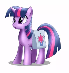 Size: 943x1000 | Tagged: artist:orca, derpibooru import, pixiv, saddle bag, safe, solo, twilight sparkle