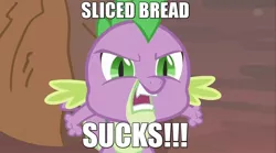 Size: 1536x857 | Tagged: bread, image macro, meme, mouthpiece, safe, sliced bread, solo, spike, spike drama, text