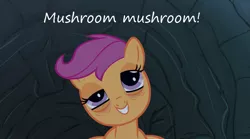 Size: 1063x593 | Tagged: badger badger badger, derpibooru import, droopy, high, insane pony thread, mushroom, safe, scootaloo, shrooms, sleepless in ponyville, solo, stoned, tired, tumblr