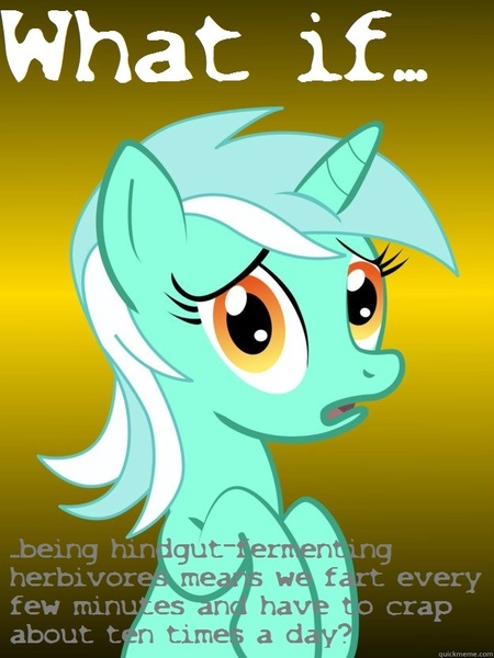 Size: 625x833 | Tagged: safe, derpibooru import, lyra heartstrings, conspiracy lyra, equine anatomy, exploitable meme, meme, meta, solo, text