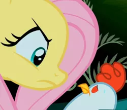 Size: 500x433 | Tagged: safe, derpibooru import, screencap, fluttershy, chicken, cockatrice, pony, stare master, cropped, duo, eyes, female, mare, red eyes, stare, the stare