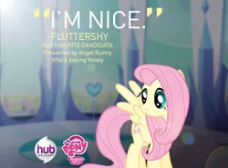 Size: 850x628 | Tagged: best pony contest, derpibooru import, fluttershy, hubble, hub logo, hub network, logo, my little pony logo, official, poll, promo, quote, safe, solo, text, the hub