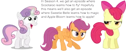 Size: 3817x1576 | Tagged: apple bloom, apple bloom is not amused, artist:caliazian, artist:ocarina0ftimelord, artist:ratchethun, comments, cutie mark crusaders, derpibooru import, flapping, hilarious in hindsight, open mouth, raised hoof, safe, scootaloo, scootaloo can fly, season 4, simple background, source needed, sweetie belle, text, transparent background, vector