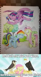 Size: 852x1615 | Tagged: safe, artist:andypriceart, derpibooru import, edit, edited screencap, screencap, fluttershy, rainbow dash, twilight sparkle, twilight sparkle (alicorn), alicorn, bald eagle, eagle, falcon, pegasus, pony, may the best pet win, female, flying, mare, peregrine falcon, powerthirst, red bull, smuglight sparkle, traditional art