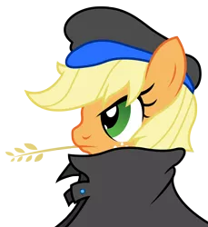 Size: 2750x3000 | Tagged: safe, derpibooru import, applejack, earth pony, pony, clothes, coat, hat, simple background, solo, straw in mouth, transparent background