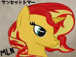 Size: 2048x1536 | Tagged: safe, artist:mylittleninja, derpibooru import, sunset shimmer, ponified, pony, equestria girls, equestria girls ponified, ink, japanese, katakana, solo