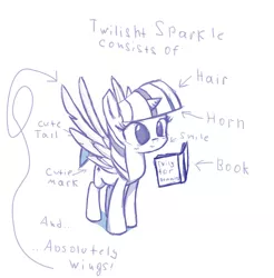 Size: 1537x1560 | Tagged: safe, derpibooru import, edit, twilight sparkle, twilight sparkle (alicorn), alicorn, pony, alicorn drama, book, cute, diagram, drama, female, mare, reading, sketch, smiling, solo, spread wings